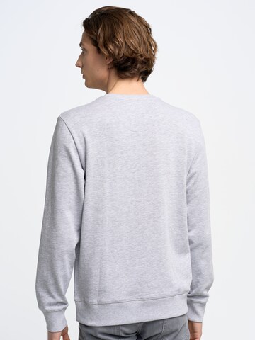 BIG STAR Sweatshirt ' ECODORT ' in Grey
