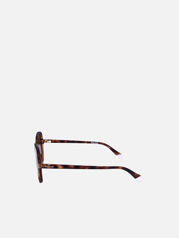 Polaroid Sunglasses in Brown