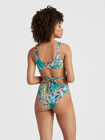 Bikini O'NEILL en bleu