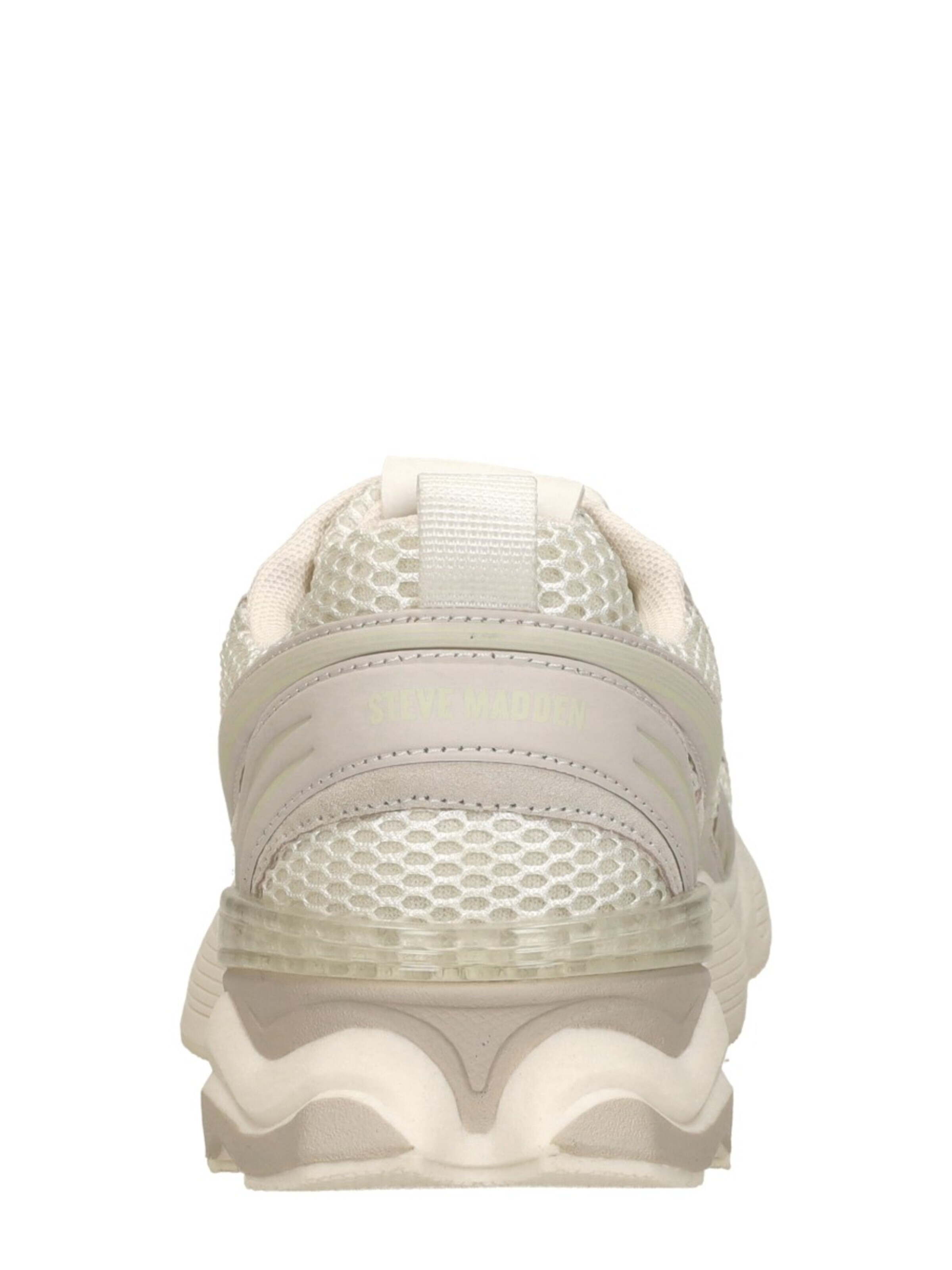 STEVE MADDEN Sneaker low 'Speedster-E'‌‌‌‌‌‌ in Beige