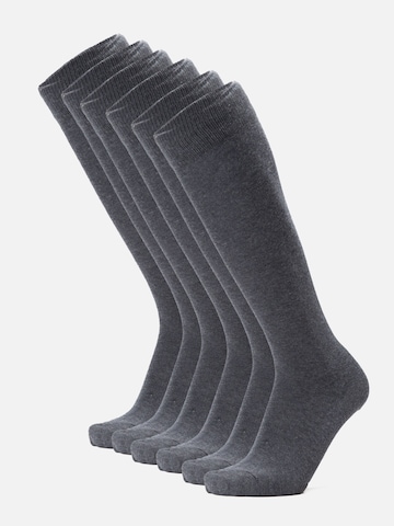 Ciocca Knee High Socks in Grey: front