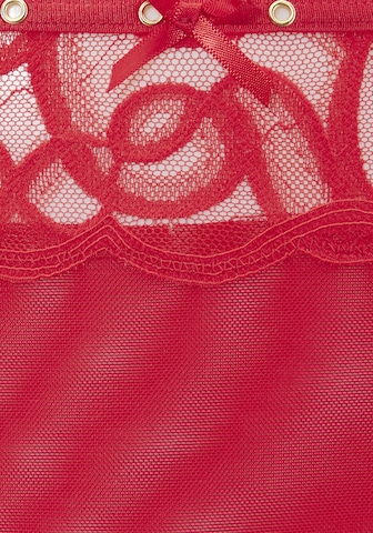 PETITE FLEUR GOLD by LASCANA Thong in Red