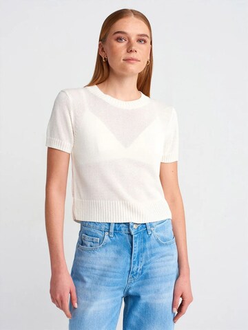 Dilvin Pullover 'Pullover'‌‌‌‌‌‌‌ in Weiß: Vorderseite