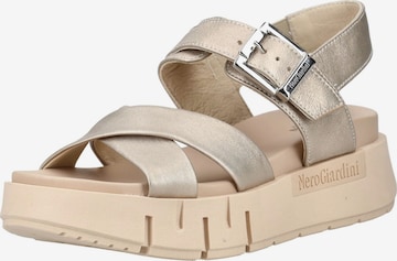 Sandalo di Nero Giardini in oro: frontale