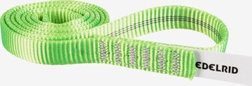 Edelrid Outdoor Equipment 'PES Sling 16mm' in Green: front