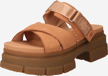 UGG Mules 'Ashton' in Brown: front