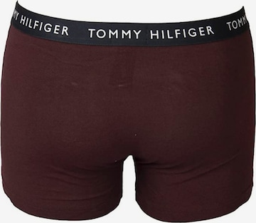 TOMMY HILFIGER Boxershorts 'Essential' in Blauw