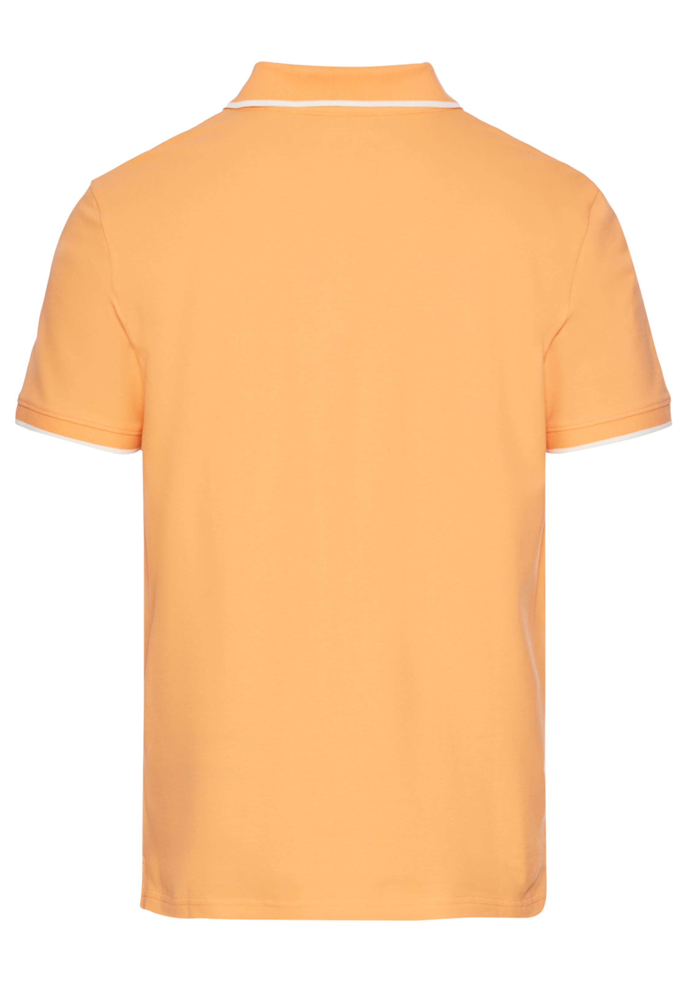 DELMAO Poloshirt in Orange