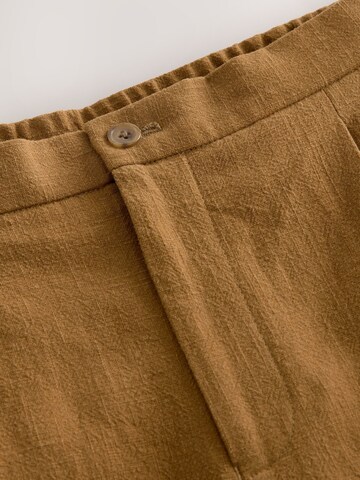 Next Regular Pleated Pants in Brown