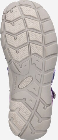 Sandales 'SEACAMP II' KEEN en violet