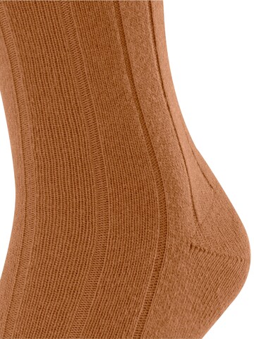 FALKE Socken 'Lhasa Rib'‌‌‌‌‌‌‌ in Braun