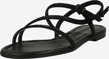 Kennel & Schmenger Strap sandal 'Elle' in Black: front