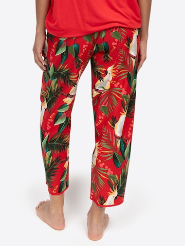 Cyberjammies Pyjamabroek ' Tara ' in Rood