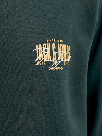 S dydžio Megztinis be užsegimo 'JJAERO' iš JACK & JONES, spalva – medaus spalva / tamsiai žalia / balta, Prekių apžvalga