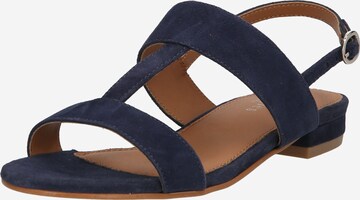 Sandalo con cinturino 'Bronya' di Dorothy Perkins in blu: frontale