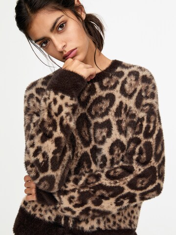 Pull&Bear Trui in Bruin
