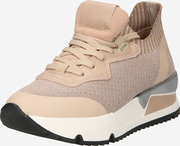 BULLBOXER Sneaker in Beige: predná strana