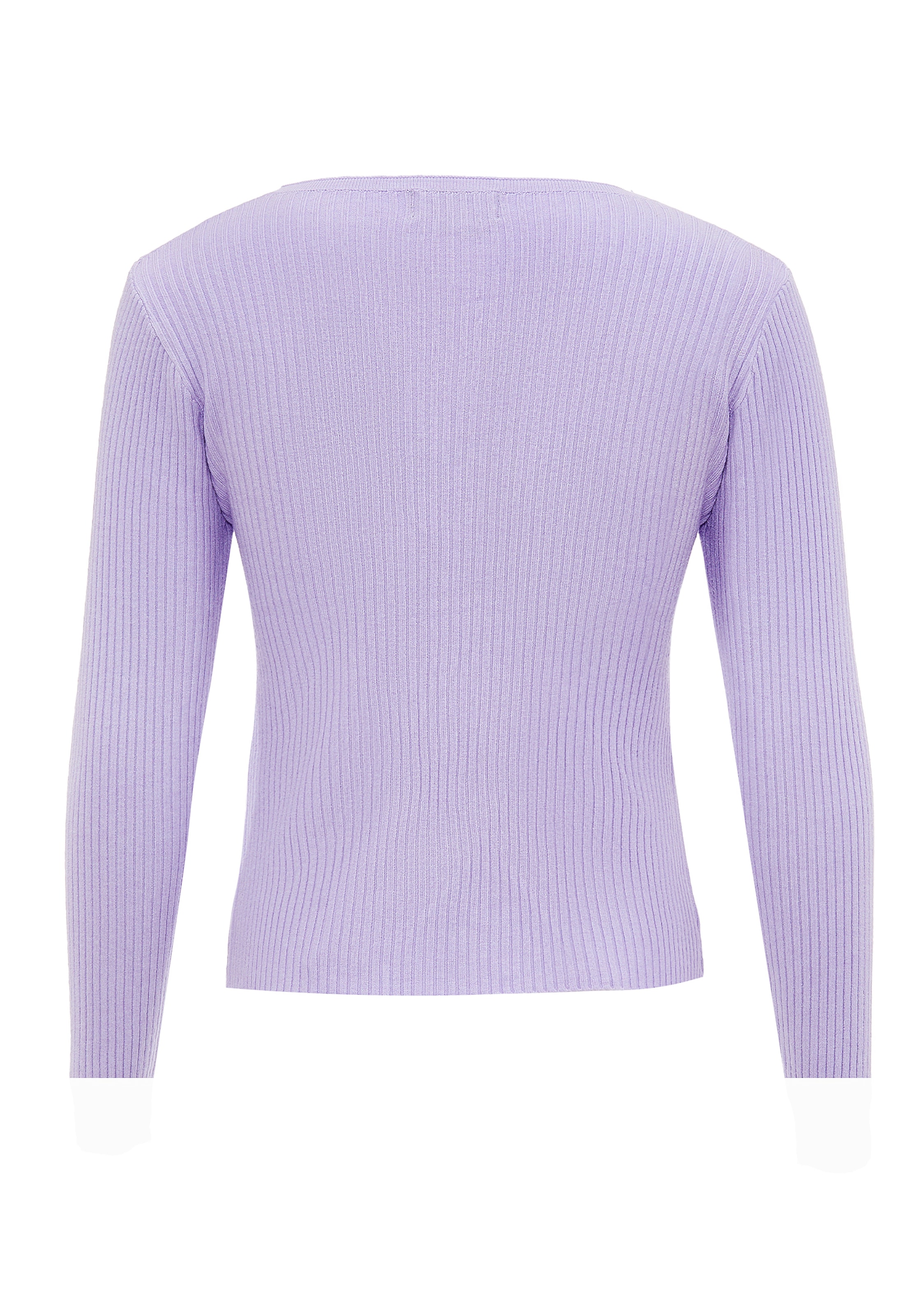 leo selection Pullover in Lila