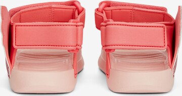 PUMA Sandały 'Divecat V2' w kolorze różowy