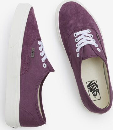 lillā VANS Zemie brīvā laika apavi 'Authentic'