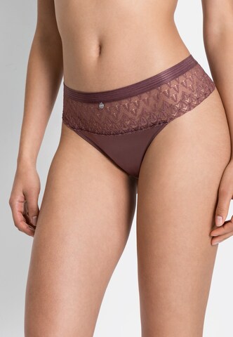 s.Oliver Thong in Brown: front