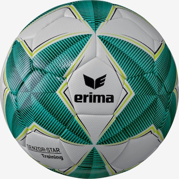 ERIMA Ball in Green: front
