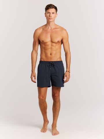 PROTEST Board Shorts 'PRTAgden' in Blue: front