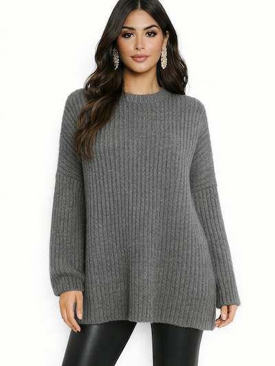 Worldclassca Oversized Sweater 'Dicker' in Grey, Item view