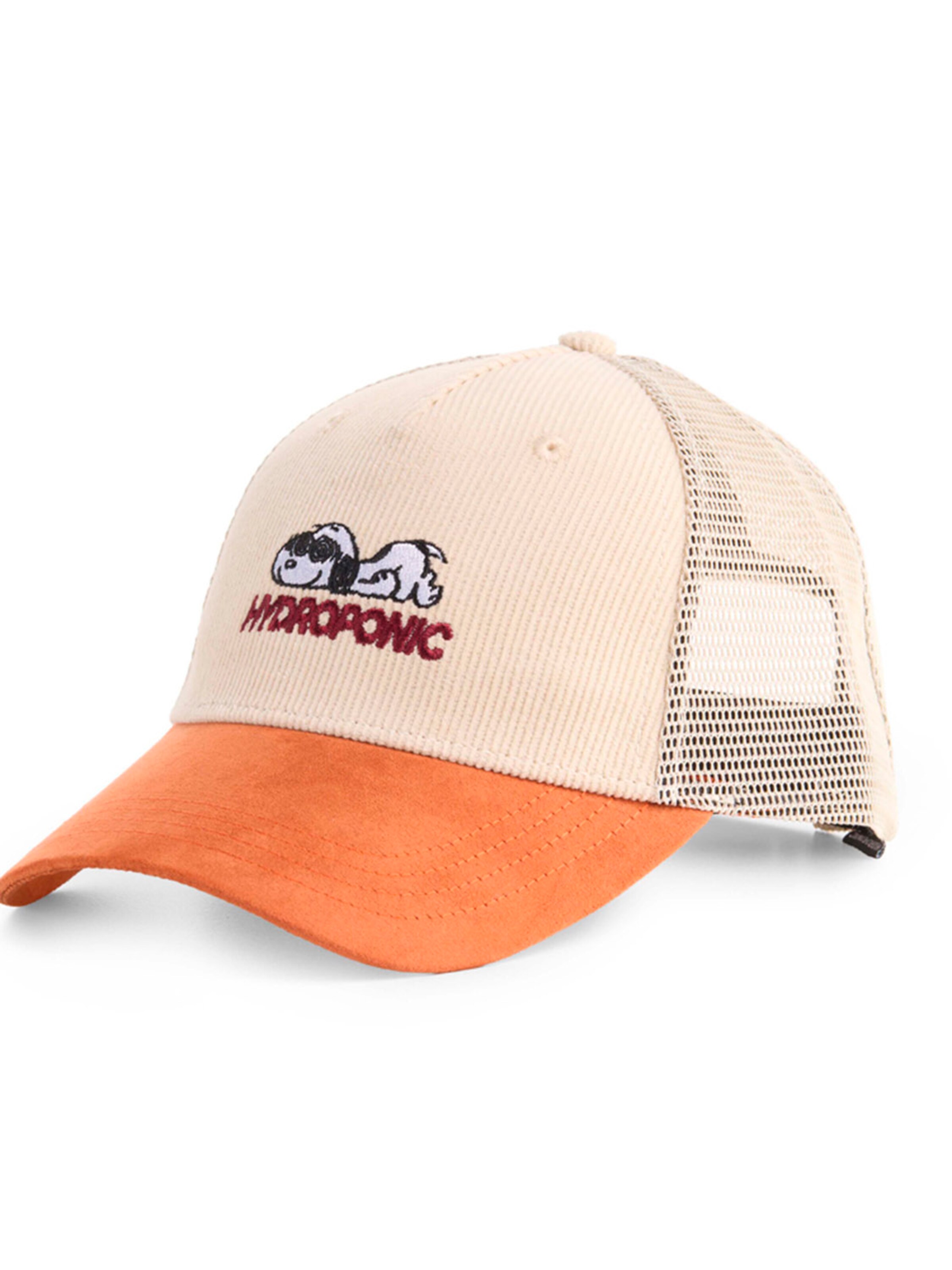 hydroponic - Gorra deportiva 'Hydroponic x Peanuts Obsessed Cap' en beige