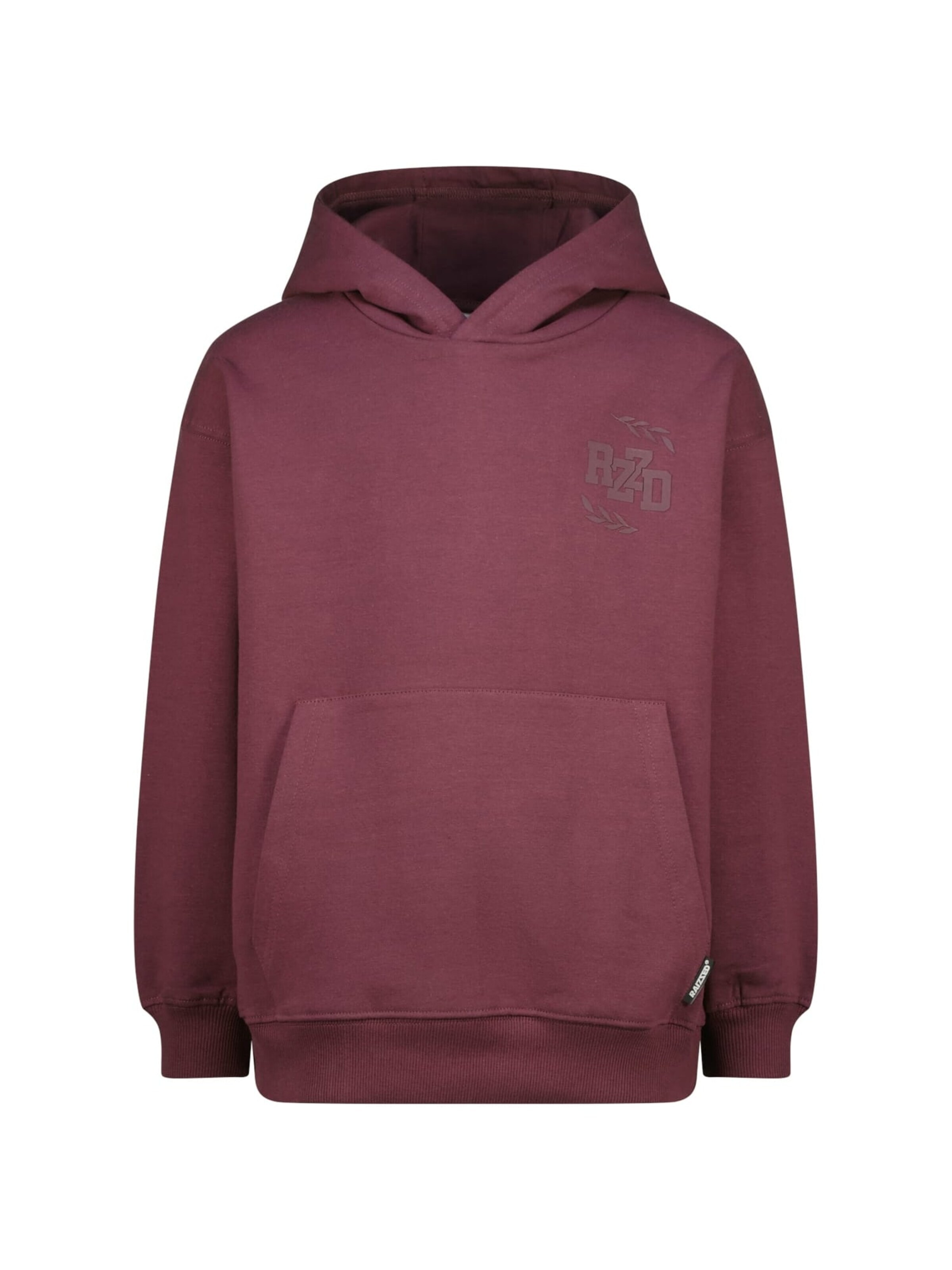 Raizzed Sweatshirt in Lila: voorkant