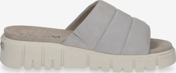 CAPRICE Mules in Grey