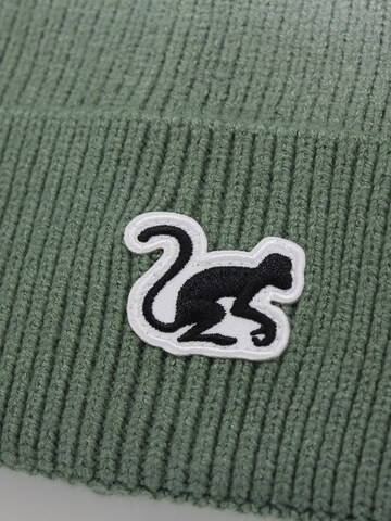 Surf Monkey Czapka w kolorze zielony