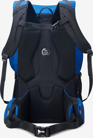 Delsey Paris Backpack in Blue