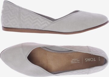 TOMS Ballerina 42 in Grau: predná strana