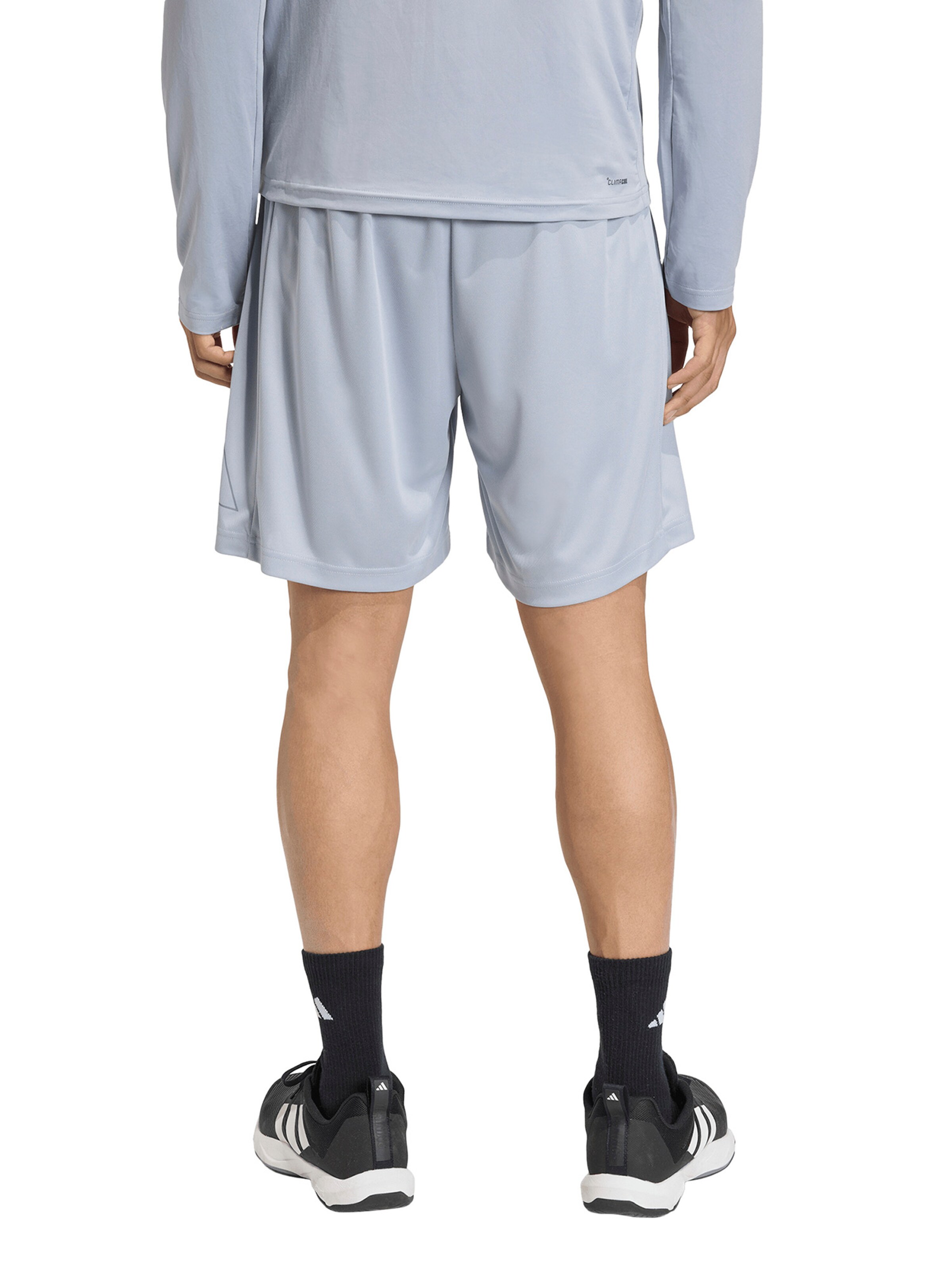 ADIDAS PERFORMANCE Loosefit Παντελόνι φόρμας σε γκρι: πίσω