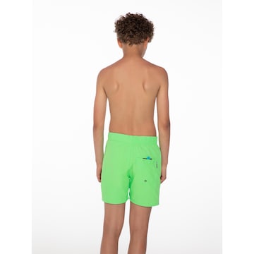 PROTEST Board Shorts 'Culture' in Green