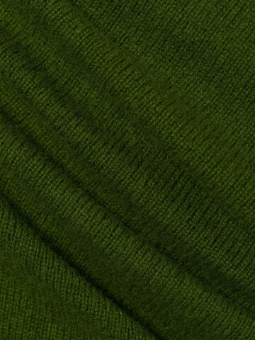 Franco Callegari Strickjacke in Grün