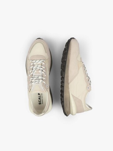 Scalpers Låg sneaker 'Vilches' i beige