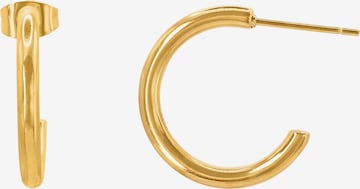 Heideman Earrings in Gold
