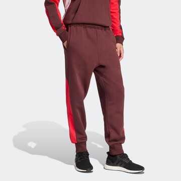 ADIDAS SPORTSWEAR Tapered Workout Pants 'Essentials' in Brown: front