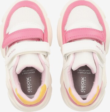 Baskets GEOX en rose