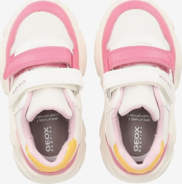 Sneaker di GEOX in rosa