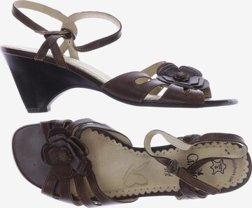 CAPRICE Sandals & High-Heeled Sandals in 37,5 in Brown: front