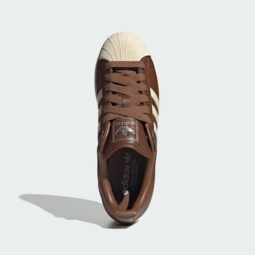Baskets basses 'Superstar II' ADIDAS ORIGINALS en marron