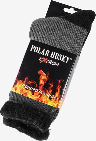 Chaussettes 'Extrem Hot' Polar Husky en gris