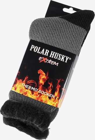 Polar Husky Socken 'Extrem Hot' in Grau