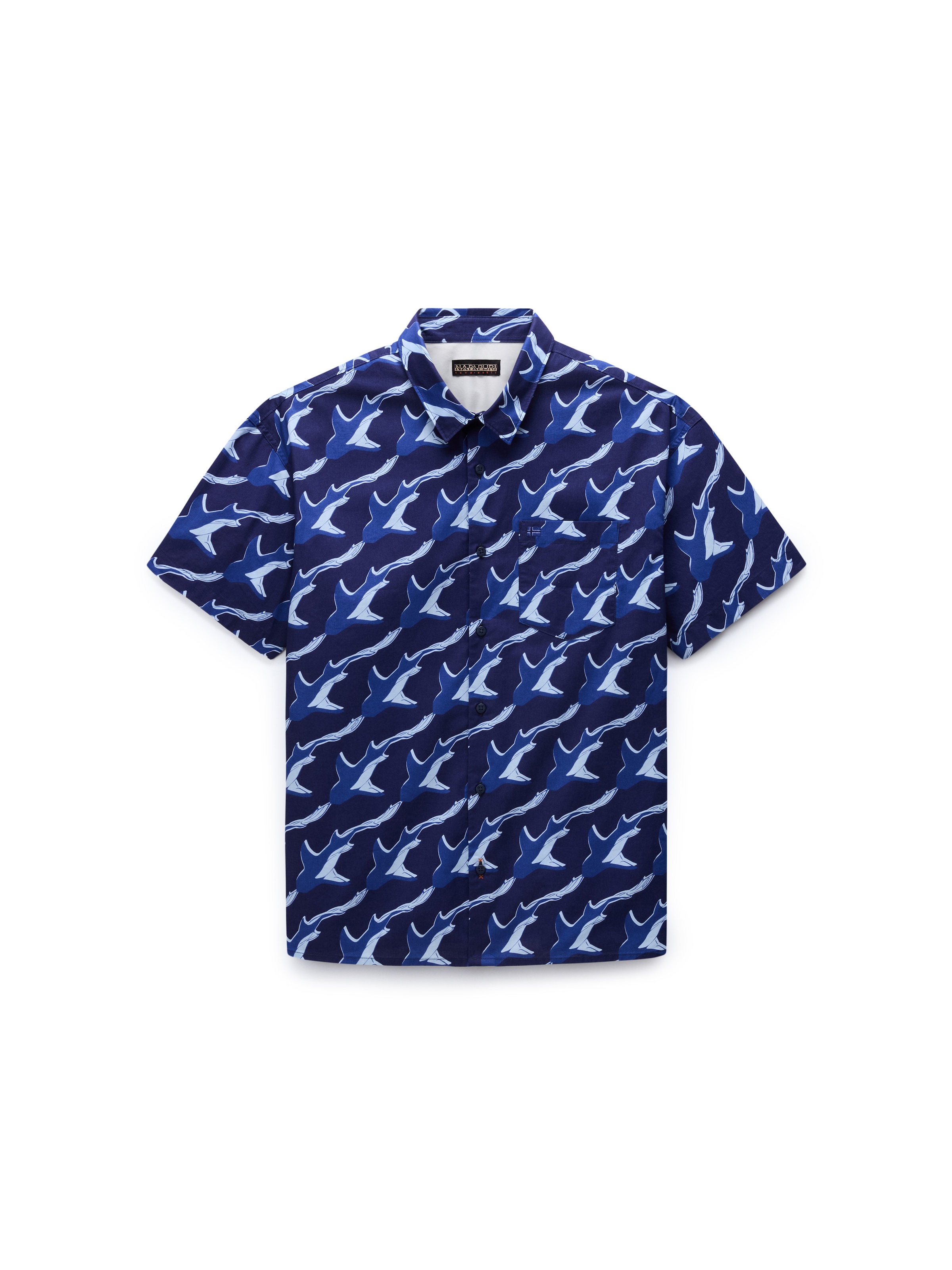NAPAPIJRI - Ajuste regular Camisa 'Elior' en azul: frente