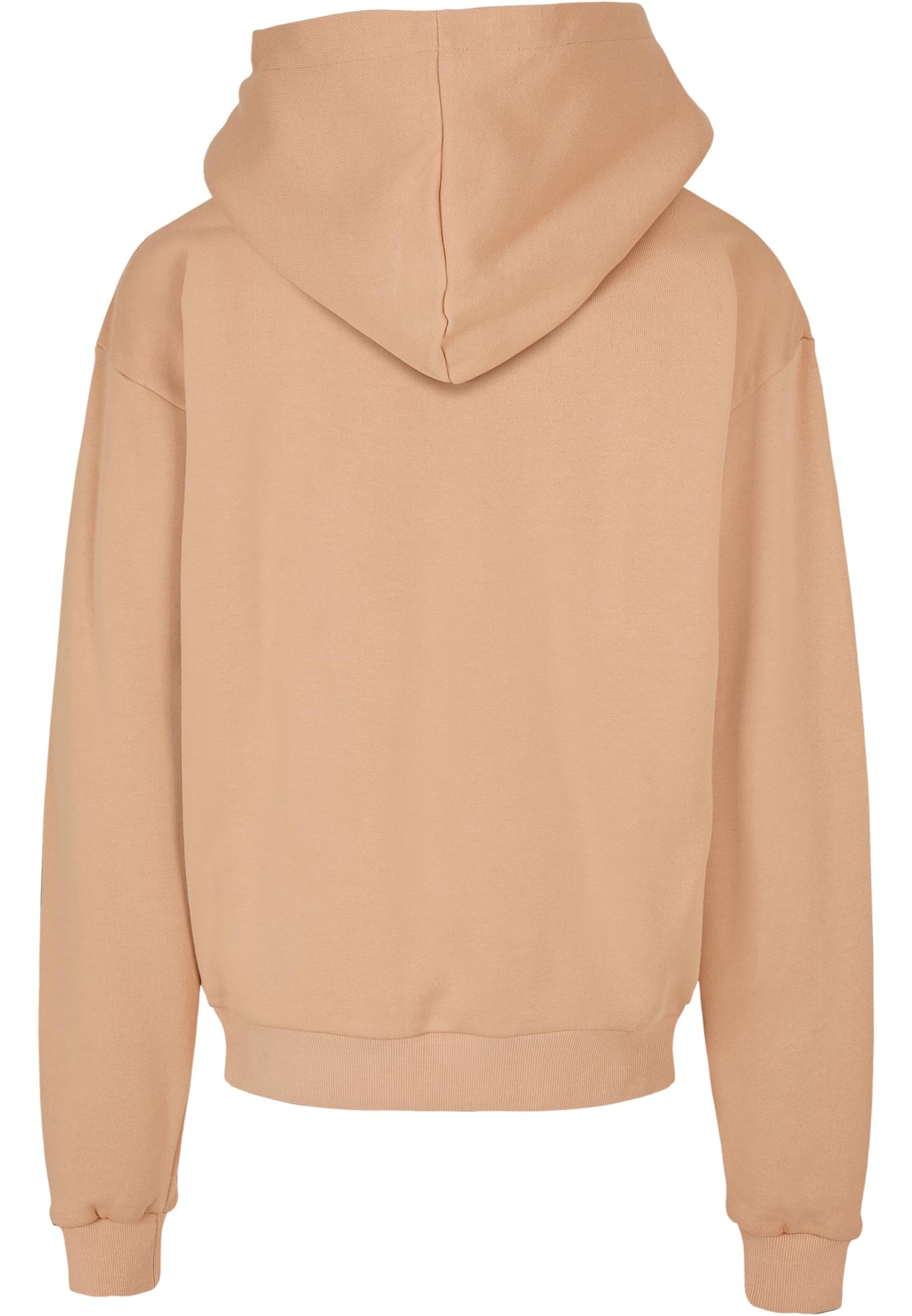 MJ Gonzales Sweatshirt in Beige
