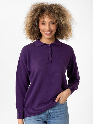 Williot Sweater 'Joshua' in Purple