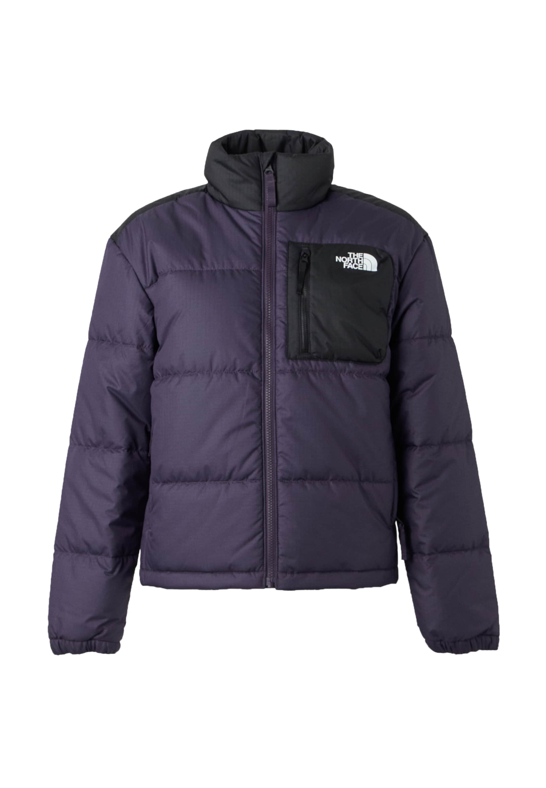 Geacă de iarnă de la THE NORTH FACE pe albastru: față